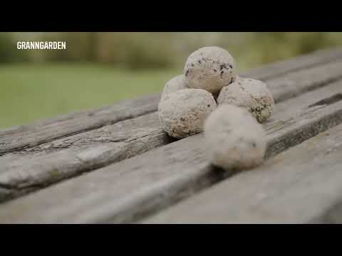 Video: Behöver fåglar matare på sommaren?