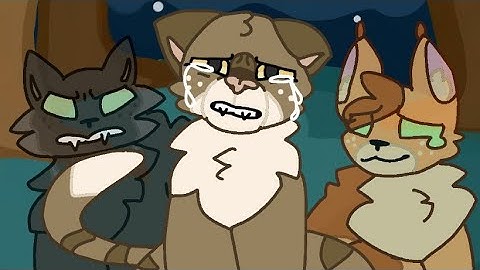 The Night We Met//Leafpool Pmv Map (part 18)