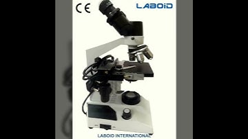 Laboid Binocular microscope