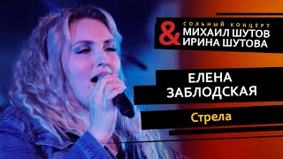 Елена Заблодская – Стрела