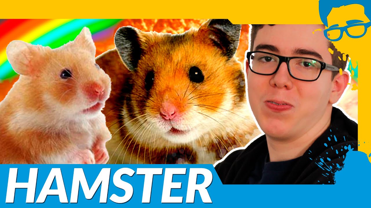 Hamster Grid Odd Even Jogue Agora Online Gratuitamente Y8.com