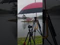 雨の桜 滋賀県 日野川ダム Cherry blossoms in the rain Shiga Prefecture Hinokawa Dam