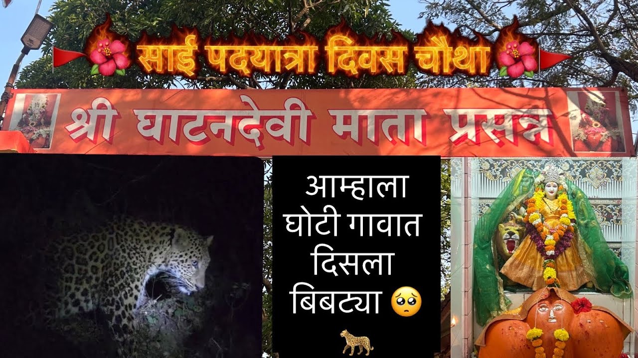 🚩🌺 साई पदयात्रा दिवस चौथा 🌺🚩