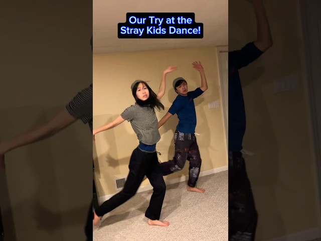 Our Try at the Stray Kids Dance! #lalalala_challenge #kpop #kpopdance #straykids class=