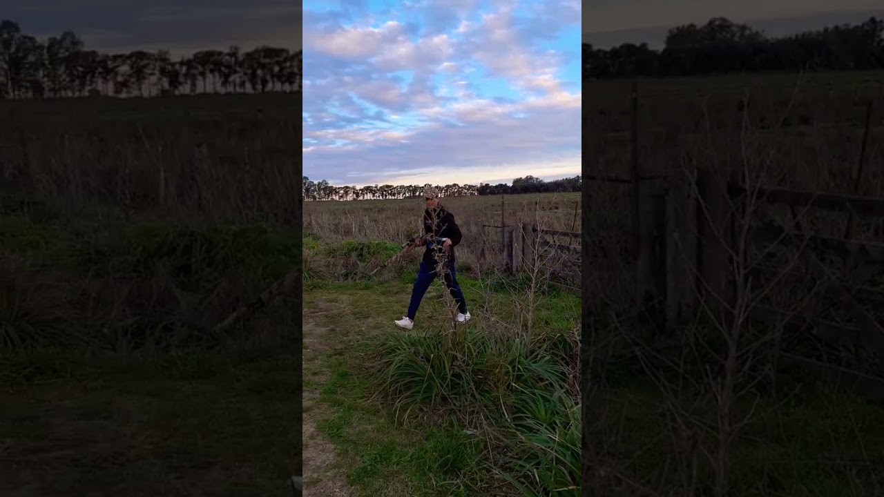 caza de pato con rifle pcp!! suscribanse para más videos!!