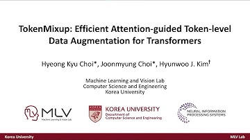 TokenMixup: Efficient Attention-guided Token-level Data Augmentation for Transformers (NeurIPS 2022)