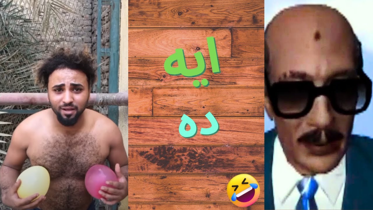 مدينة البهايم 2 علي التيك توك | سادات مصر 😂