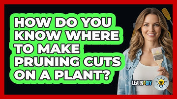 How Do You Know Where To Make Pruning Cuts On A Plant? - LearnToDIY360.com