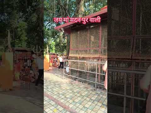 जय मां मदन पुर वाली जय माता दी 🙏🙏🙏🙏🙏🙏🙏🙏🙏🙏🙏🙏🙏🙏 #मदनपुर