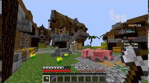 【Minecraft】Mineplex Hacker Report #530 - SirPotatoMan