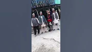 Palam Song Limbu Culture Dhan Nach Shorts 