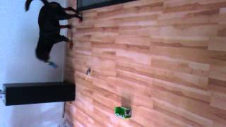 MOV 08101