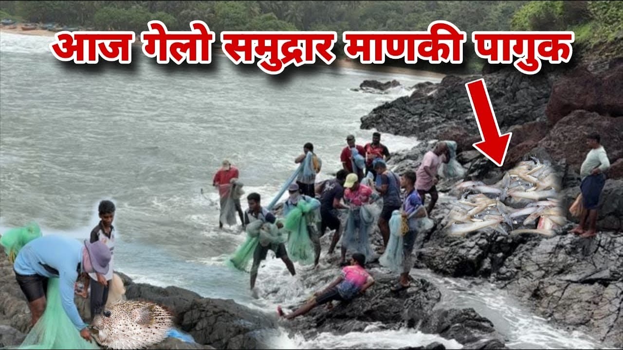 आज गेलो माणकी पागूक॥ बघतय तर काय…😲