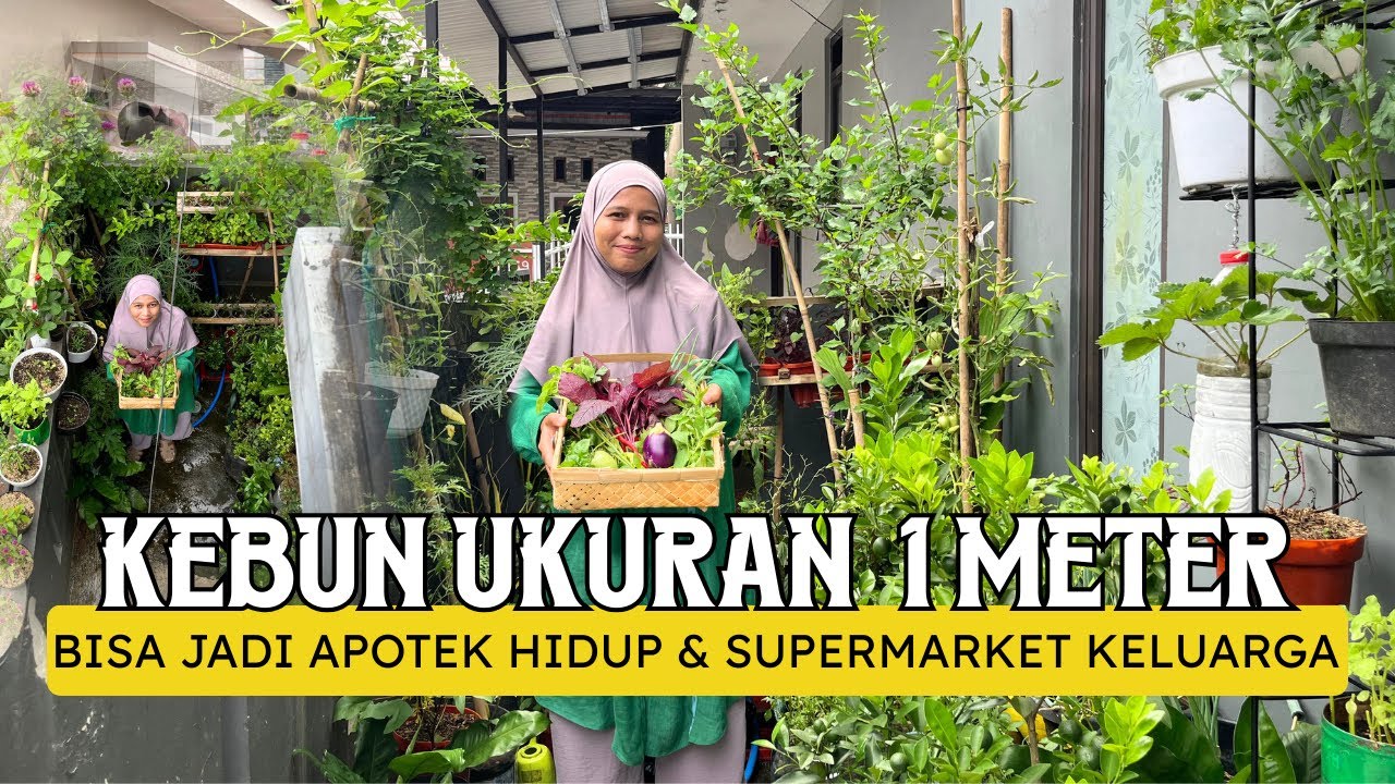 Kebun Super Mungil Ukuran 1x1,2 Meter