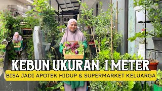 Download Lagu Kebun Super Mungil Ukuran 1x1,2 Meter MP3