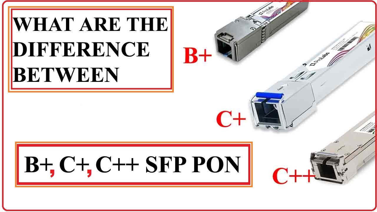 ⁣❤❤What are the difference between B+ C+ C++ SFP❤❤❤❤❤❤❤❤❤❤❤❤❤❤❤❤❤❤❤❤❤❤❤❤