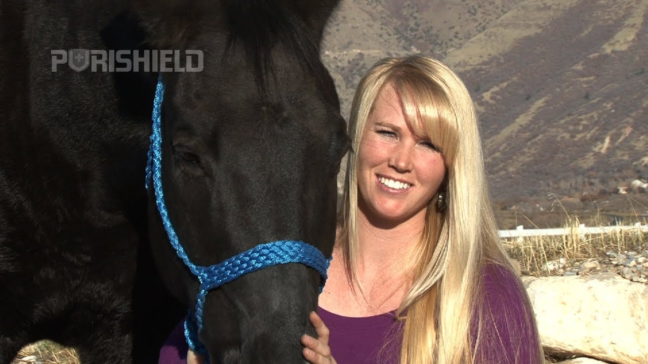 How to Treat Your Horse's Wounds YouTube