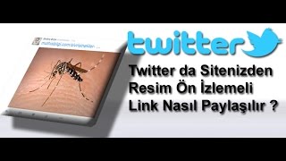 Twitter da Sitenizden Resim Ön İzlemeli Link Nasıl Paylaşılır ?