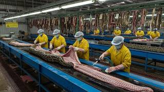 Inside the Luxury Python Leather Jacket Factory Process