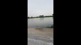 wow wow wow really so beautiful না দেখলে চরম মিস ফেণীর ঐতিহ্…