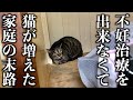 猫は好きだけど、不妊治療を怠った家庭の末路