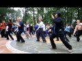 Demo 1  cheng manching tai chi