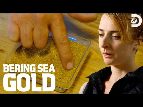 Who Grabs the Most Gold Before Winter Hits? | Bering Sea Gold