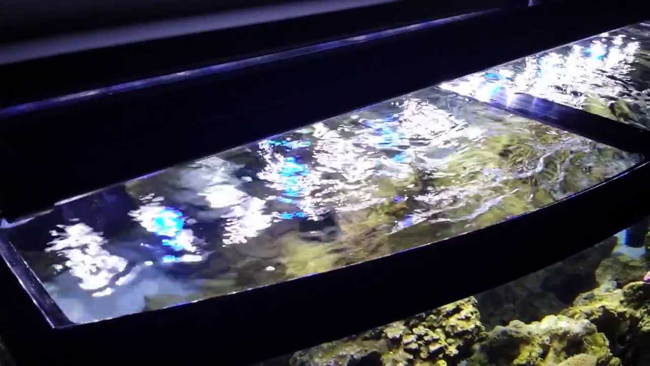 Beautiful view of Aquarium Agitation System