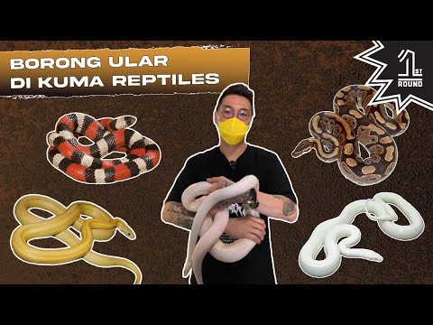 Qiz yigitining xorozini yutib yuboradi Banyoda jinsiy aloqa mabudasi