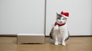 猫サンタさんからのプレゼント「電気ちりとり」