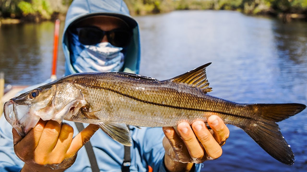 Fishing The Peace River For Snook, Tarpon, And Bass -- This Turned