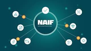 The Naif Investment Process