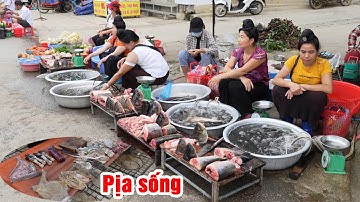 Khám phá chợ phiên TẢ SÌN THÀNG TỦA CHÙA ĐIỆN BIÊN bán nhiều đặc sản núi rừng