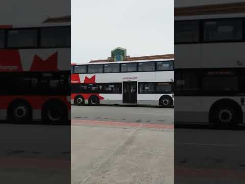 Orleans Station | #8153 and #4739 | Out of Service - Parked