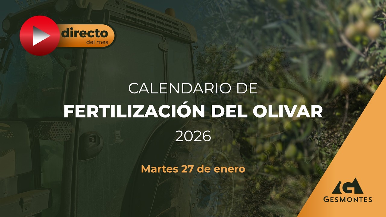 CALENDARIO DE FERTILIZACIÓN DEL OLIVAR 2026