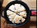 MOST DELICIOUS MY VEGAN BLUEBERRY SCONES  | Connie's RAWsome kitchen