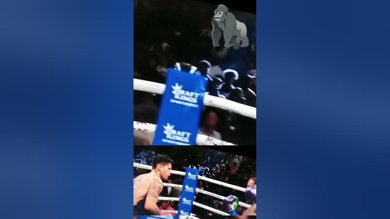 OMG, Tanks devastating body shot hurts Ryan, Gervonta knows it boxing