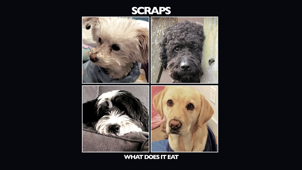 Scraps Official Puppy Video What Does It Eat Howie And Shai YouTube