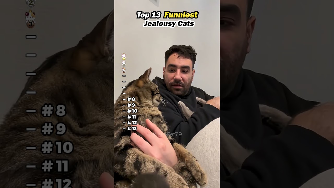 Part 108 funny cat videos ππ please 10k followers #funny #cat #funniestvideo #animals Part 108 funny cat videos ππ please 10k followers #funny #cat #funniestvideo #animals