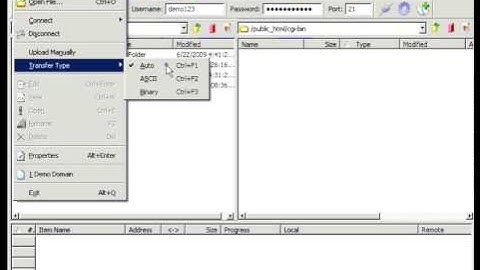 CuteFTP Transferring files By Host4Go Tutorials