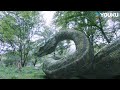 The Giant Snake And The Little Boy Became Best Friends Snake 3 YOUKU MONSTER MOVIE The Giant Snake And The Little Boy Became Best Friends Snake 3 YOUKU MONSTER MOVIE