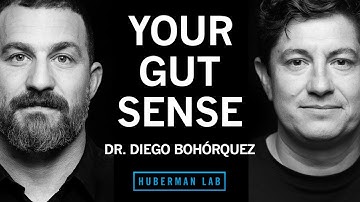 The Science of Your Gut Sense & the Gut-Brain Axis | Dr. Diego Bohórquez