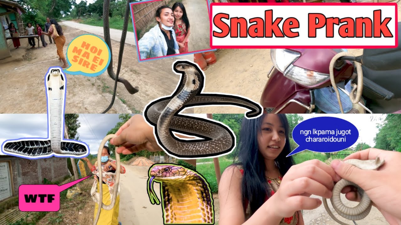 Snake Prank ever.Khukhang chadan khangba mi yao yihe. aroibi thaktani thirk eba chin.