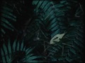 三人の女 16mm Sequence