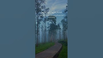 سورة الشمس – الآية ١١-١٥ | القارئ إدريس أبكر