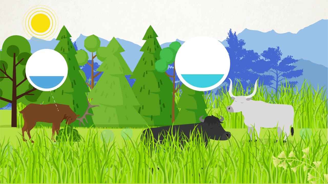 How should we store salami and sausages?