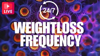 24/7 Fat Burn Frequency - Intense Weight Loss Aid ⚡️