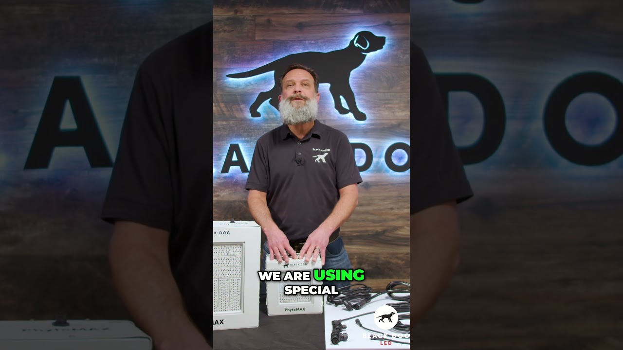 Black Dog LED uses Special Glass Secrets in LED Grow Lights!