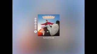 Sunroof - Nick Youre (Acapella - Vocals Only)