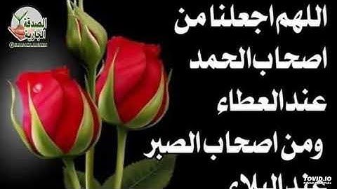 سورة البينة اسلام صبحي تلاوة يأنس لها القلب | سورة البينة